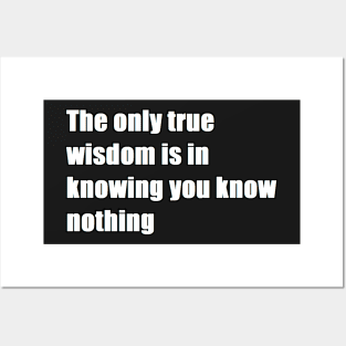 The only true wisdom is in knowing you know nothing Posters and Art